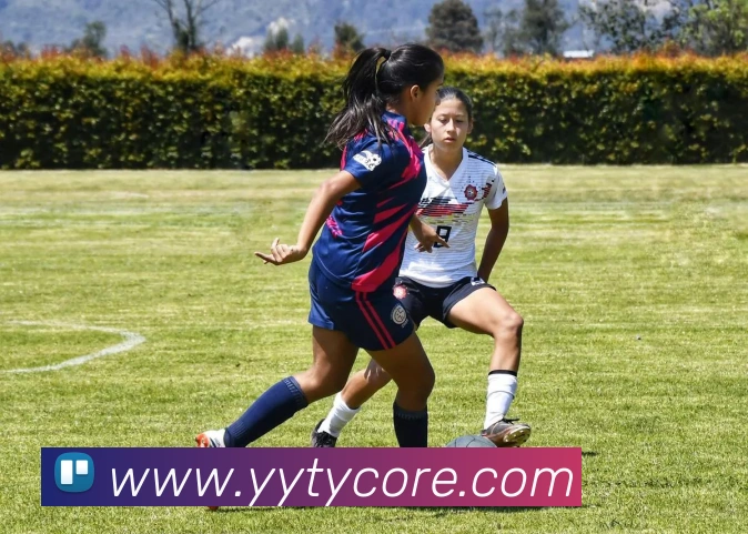 数据防护可视化